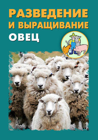 Илья Мельников. Разведение и выращивание овец