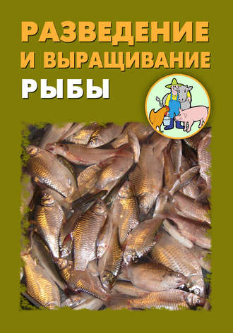 Илья Мельников. Разведение и выращивание рыбы