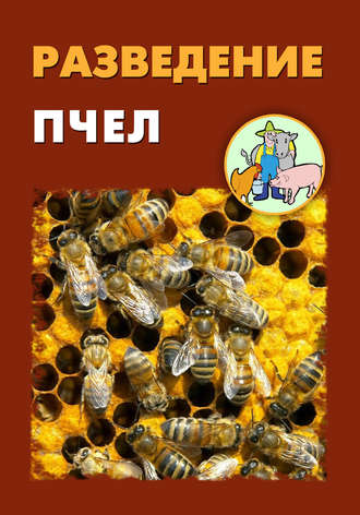 Илья Мельников. Разведение пчел