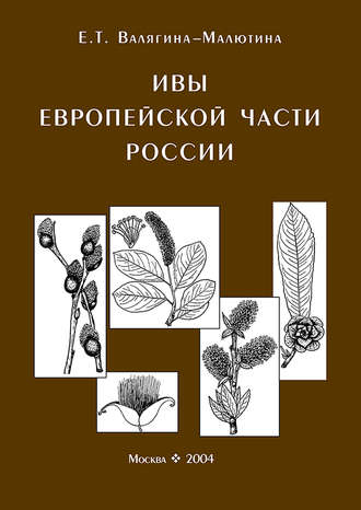 Ивы европейской части России. Иллюстрированное пособие для работников лесного хозяйства. Евгения Валягина-Малютина