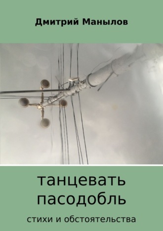 Танцевать пасодобль. Сборник стихов. Дмитрий Владимирович Манылов