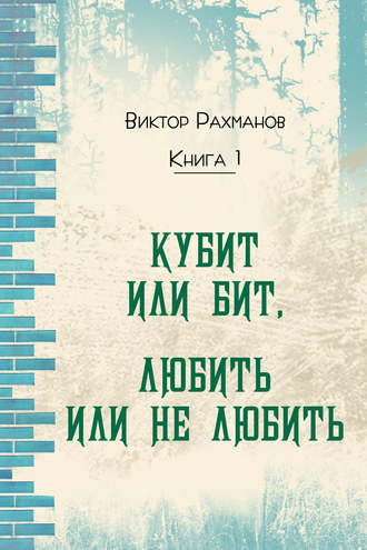 Кубит или бит, Любить или не любить. Книга 1. Виктор Рахманов