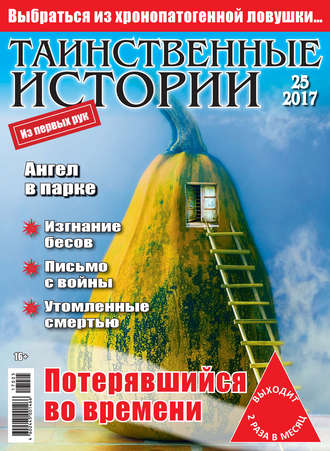 Группа авторов. Таинственные истории №25/2017