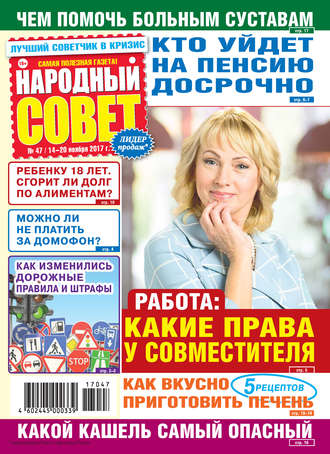 Народный совет №47/2017. Группа авторов