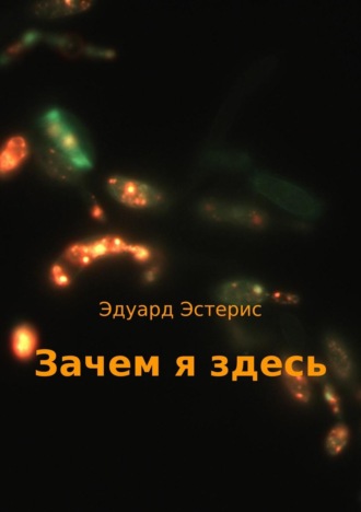 Зачем я здесь. 