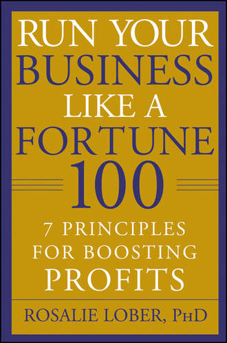 Rosalie  Lober. Run Your Business Like a Fortune 100. 7 Principles for Boosting Profits
