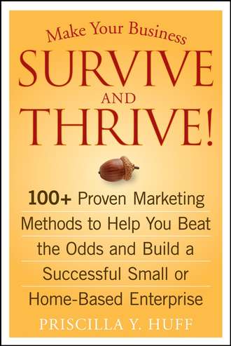Priscilla Huff Y.. Make Your Business Survive and Thrive!. 100+ Proven Marketing Methods to Help You Beat the Odds and Build a Successful Small or Home-Based Enterprise