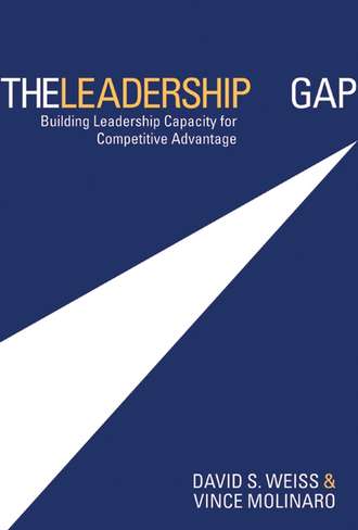 Vince  Molinaro. The Leadership Gap. Building Leadership Capacity for Competitive Advantage