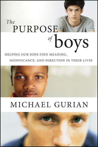 Michael  Gurian. The Purpose of Boys. Helping Our Sons Find Meaning, Significance, and Direction in Their Lives