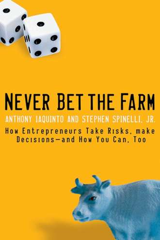 Anthony Iaquinto. Never Bet the Farm. How Entrepreneurs Take Risks, Make Decisions -- and How You Can, Too