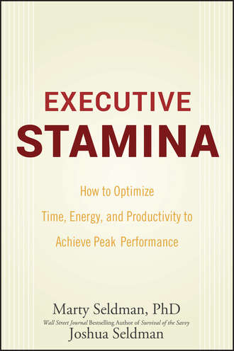 Marty  Seldman. Executive Stamina. How to Optimize Time, Energy, and Productivity to Achieve Peak Performance