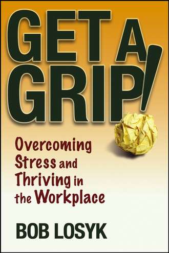 Bob  Losyk. Get a Grip!. Overcoming Stress and Thriving in the Workplace