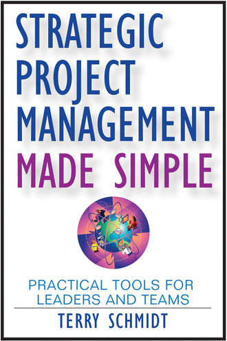 Terry  Schmidt. Strategic Project Management Made Simple. Practical Tools for Leaders and Teams
