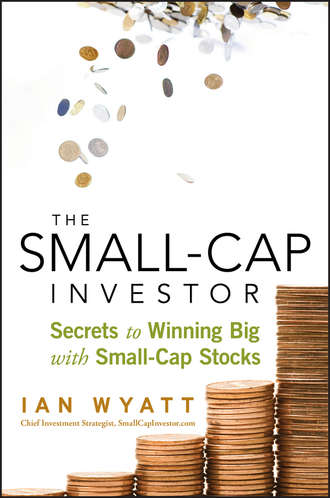 Ian  Wyatt. The Small-Cap Investor. Secrets to Winning Big with Small-Cap Stocks