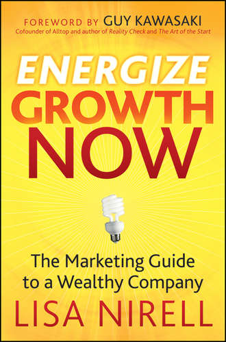 Lisa  Nirell. Energize Growth Now. The Marketing Guide to a Wealthy Company