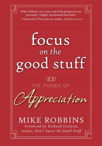 Mike  Robbins. Focus on the Good Stuff. The Power of Appreciation