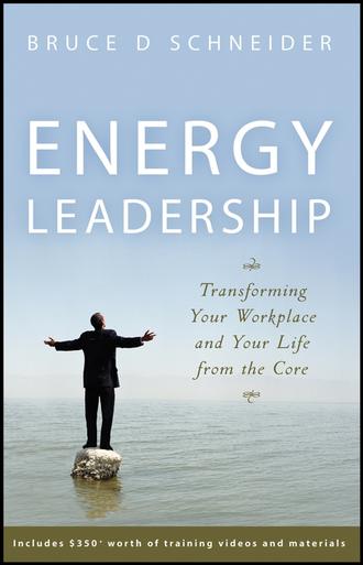 Bruce Schneider D.. Energy Leadership. Transforming Your Workplace and Your Life from the Core