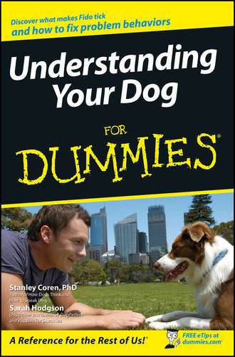 Sarah  Hodgson. Understanding Your Dog For Dummies