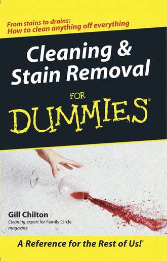 Gill  Chilton. Cleaning and Stain Removal for Dummies