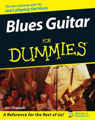 Jon  Chappell. Blues Guitar For Dummies