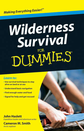 Cameron Smith M.. Wilderness Survival For Dummies