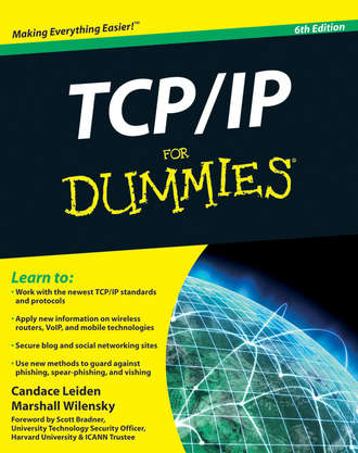 Candace  Leiden. TCP / IP For Dummies