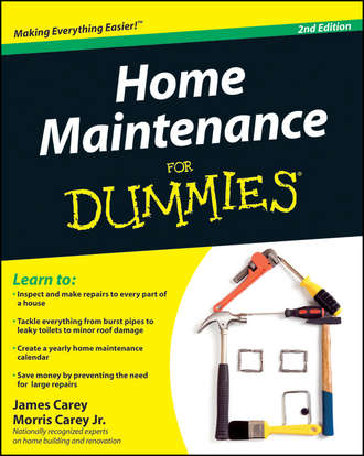 James  Carey. Home Maintenance For Dummies