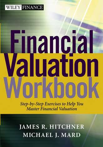 James Hitchner R.. Financial Valuation Workbook