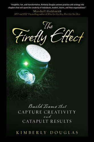Kimberly  Douglas. The Firefly Effect. Build Teams That Capture Creativity and Catapult Results
