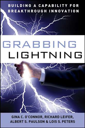 G. O'Connor C.. Grabbing Lightning. Building a Capability for Breakthrough Innovation