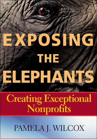 Pamela Wilcox J.. Exposing the Elephants. Creating Exceptional Nonprofits