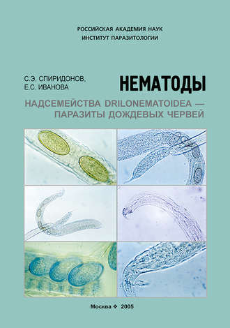 С. Э. Спиридонов. Нематоды надсемейства Drilonematoidea – паразиты дождевых червей