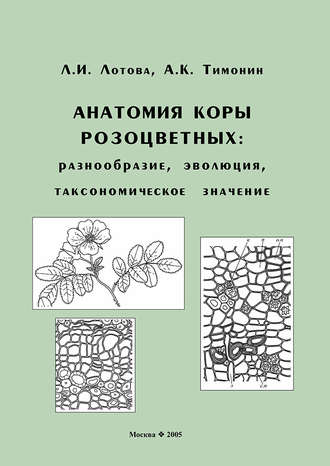Анатомия коры розоцветных: разнообразие, эволюция, таксономическое значение. Л. И. Лотова