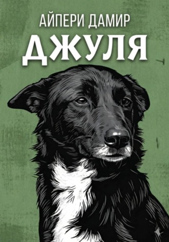 Джуля. Айпери Дамир