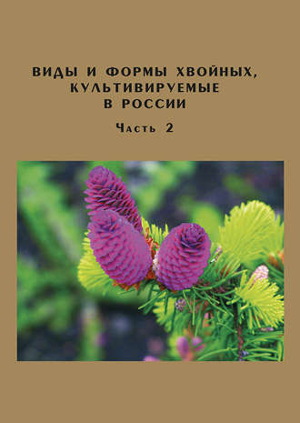 О. С. Манина. Виды и формы хвойных, культивируемые в России. Часть 2. Picea A. Dietr., Thuja L.