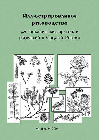 Владимир Скворцов. Иллюстрированное руководство для ботанических практик и экскурсий в Средней России