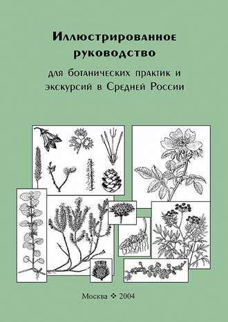 Иллюстрированное руководство для ботанических практик и экскурсий в Средней России. Владимир Скворцов