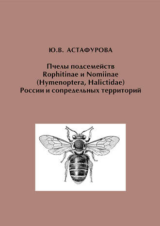 Ю. В. Астафурова. Пчелы подсемейств Rophitinae и Nomiinae (Hymenoptera, Halictidae) России и сопредельных территорий