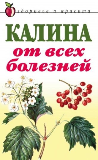 Калина от всех болезней. Группа авторов