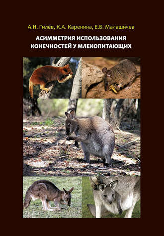 Асимметрия использования конечностей у млекопитающих. А. Н. Гилёв