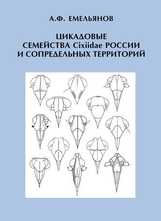 Цикадовые семейства Cixiidae России и сопредельных территорий. А. Ф. Емельянов