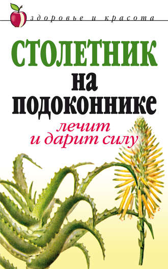Столетник на подоконнике. Лечит и дарит силу. Анна Николаевна Фидирко
