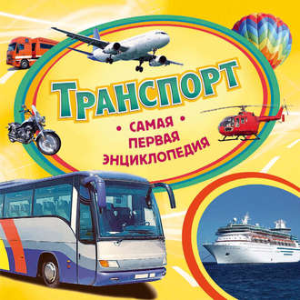 Светлана Шумеева. Транспорт