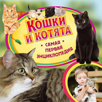 Ирина Травина. Кошки и котята