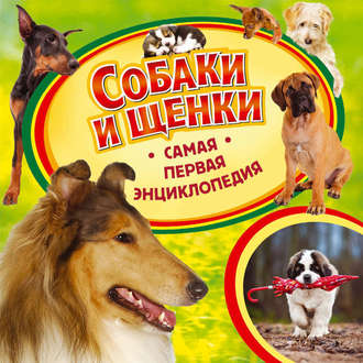 Ирина Травина. Собаки и щенки