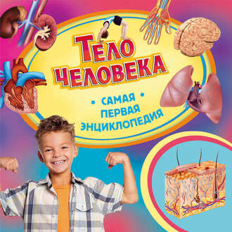 Ирина Травина. Тело человека