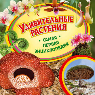 Удивительные растения. Ирина Травина