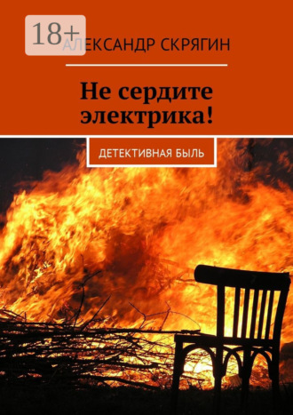 Александр Михайлович Скрягин. Не сердите электрика! Детективная быль