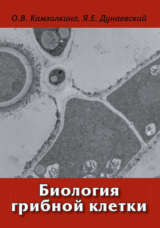 О. В. Камзолкина. Биология грибной клетки