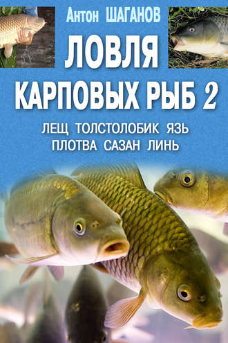 Антон Шаганов. Ловля карповых рыб – 2
